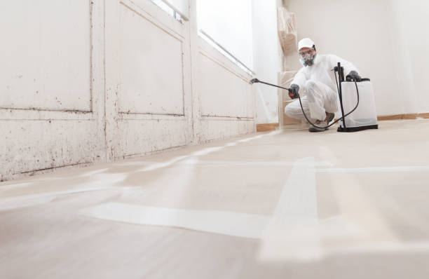 24/7 Emergency Mold Inspection experts in Burlington, NJ