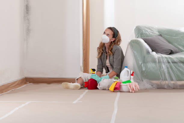 Reliable Mold Remediation contractor in Burlington, NJ by Cheap Mold Removal