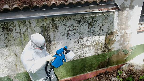 Trusted Mold Testing service in Burlington, NJ - Cheap Mold Removal